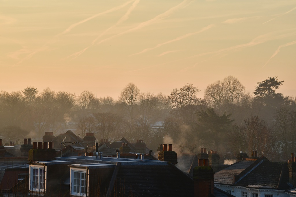 London/Forest Hill/DSC_9791.JPG